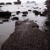 海へと続く