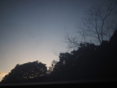 フィルター越しの世界