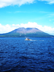 海の掃除人