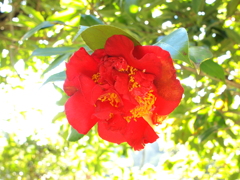 光芒