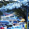 桜のある暮らし