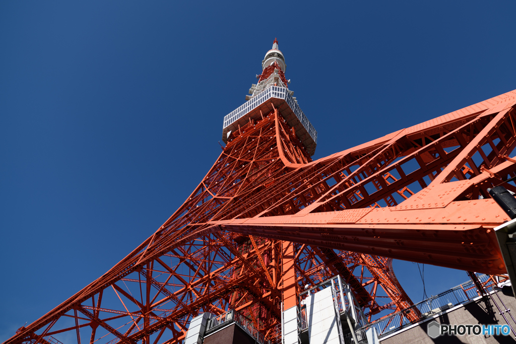 TOKYO TOWER #2