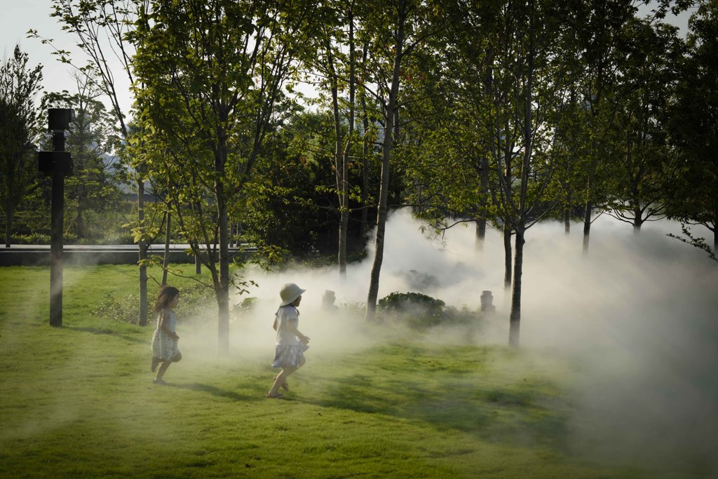 Sculpture of fog
