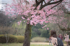 みつめられて
