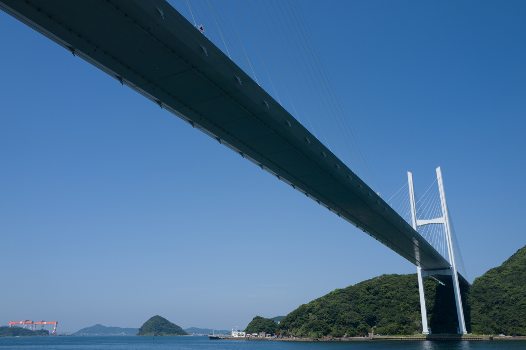 女神大橋