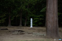 毛越寺浄土庭園#2