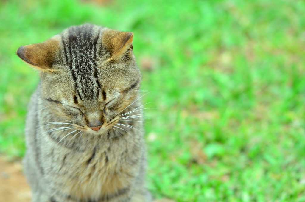 居眠り