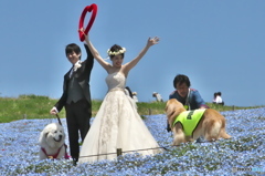 俺も一緒に写してWAN　Vol.2