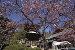 雨引観音　樂法寺