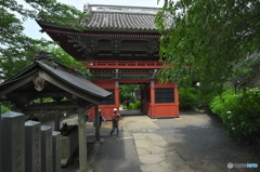 雨引山樂法寺の正門　　d