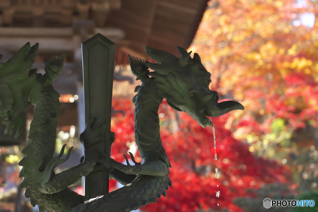 永源寺の竜