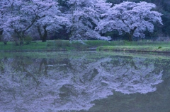 早朝の写り込み