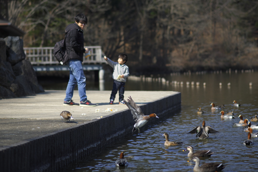 えさですよ！！