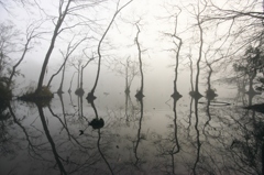  a quiet air