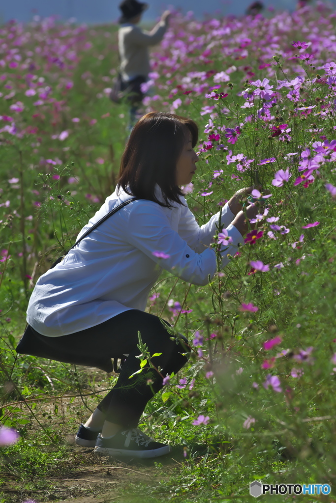 綺麗な花は中腰で。　(^^♪
