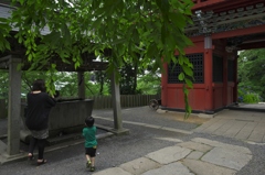 雨引観音樂法寺の境内　Ⅶ
