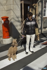 センスの良い飼い主さんとWANKO