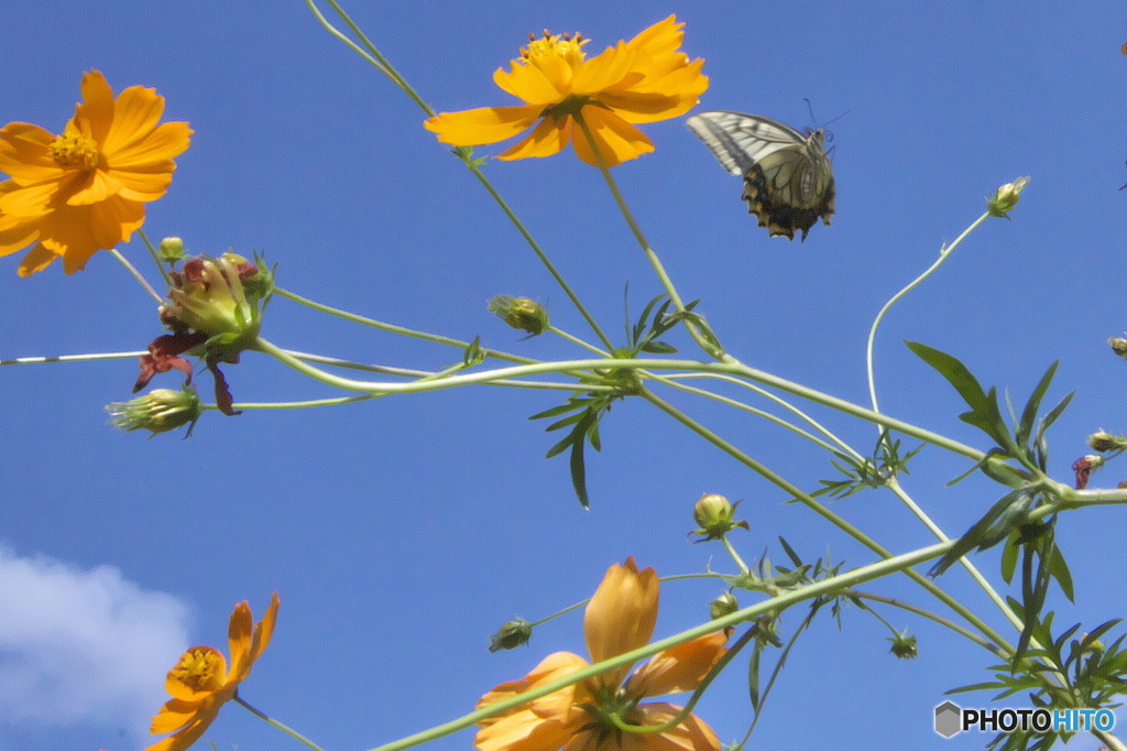 行かないで、、、、