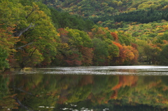 観音沼森林公園