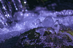氷柱のタコ？