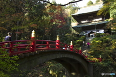 雲岩寺の秋