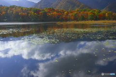 観音沼森林公園