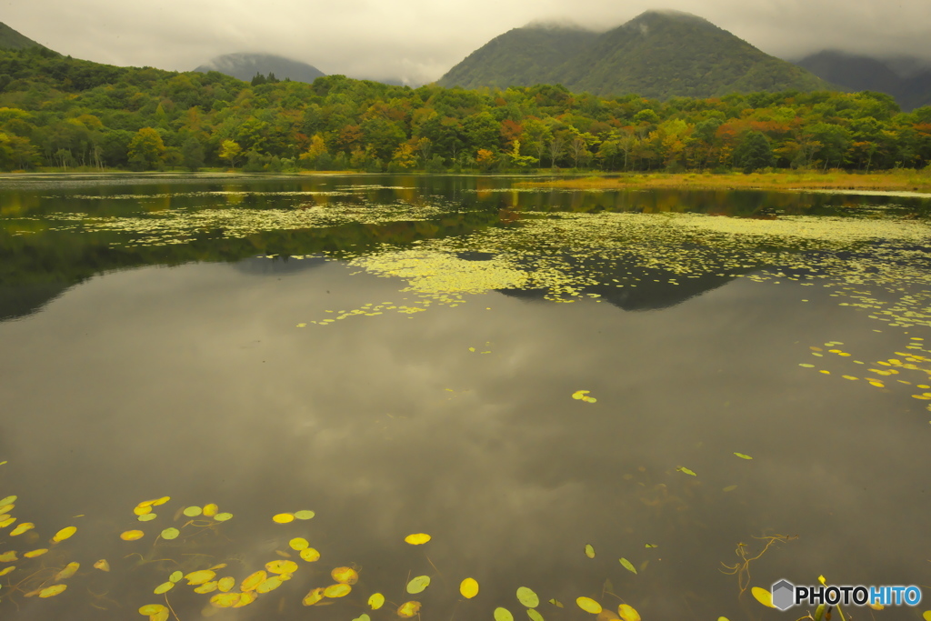 観音沼森林公園の秋　壱