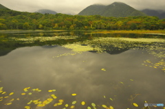 観音沼森林公園の秋 壱 観音沼森林公園の秋 壱