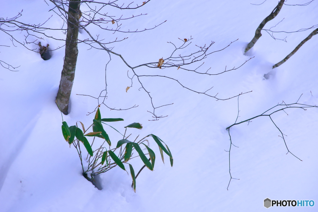小野川湖の雪景色