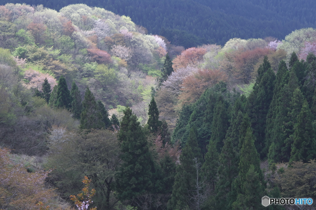 御亭山緑地公園