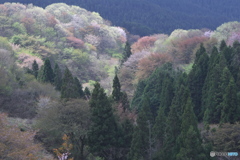 御亭山緑地公園