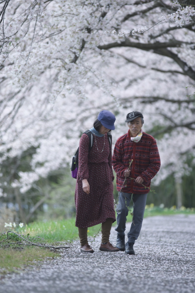 桜道