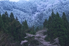 春でも山に雪が降る 春でも山に雪が降る