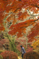 御殿山公園　壱