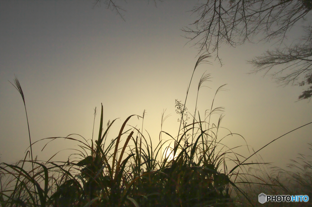 　「　the risig sun 」