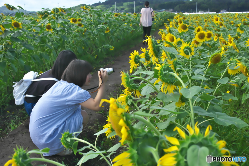 写ガール　い