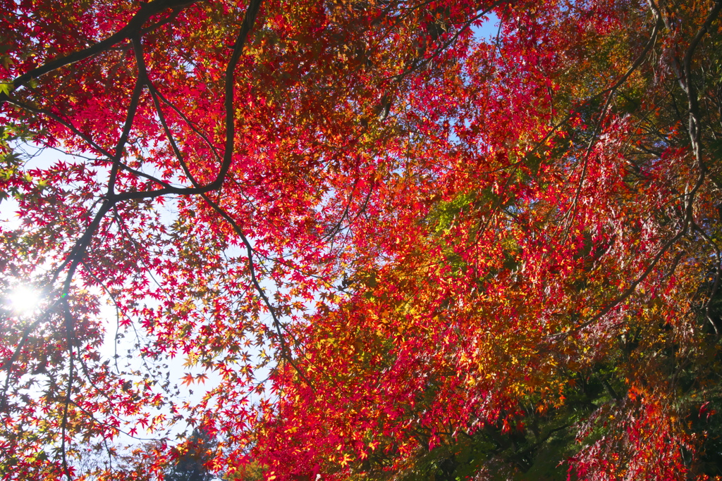 永源寺　壱