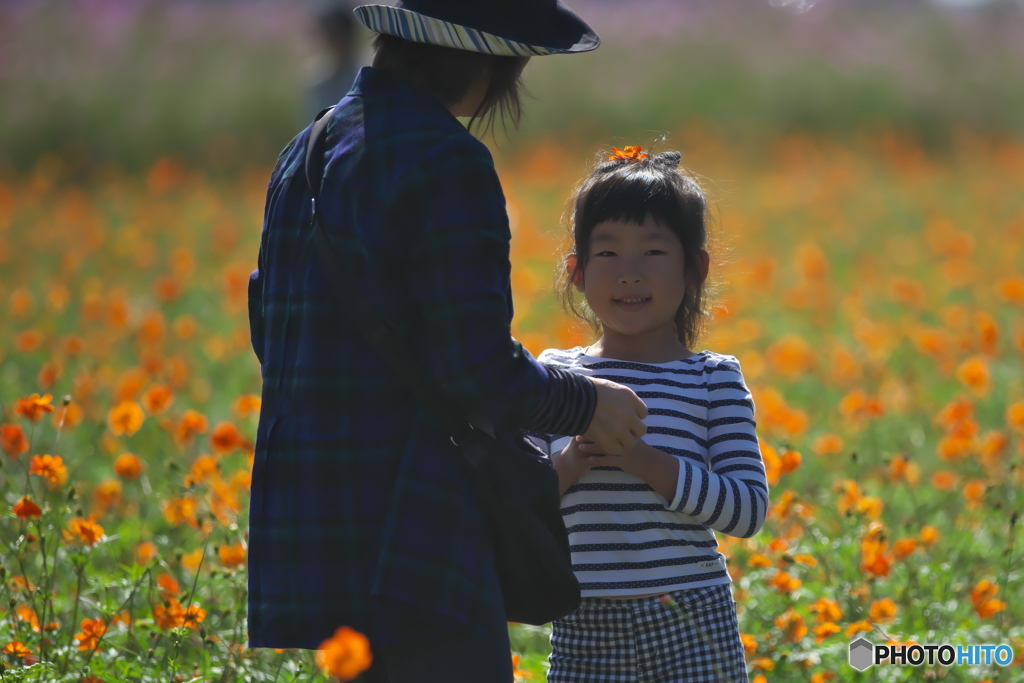 写真は逆光だ。　(^^♪