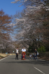 家族で花見