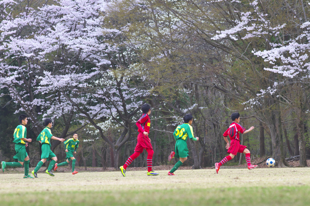 春だ　桜だ　サッカーだ　Ⅰ