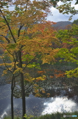 観音沼の秋 観音沼の秋