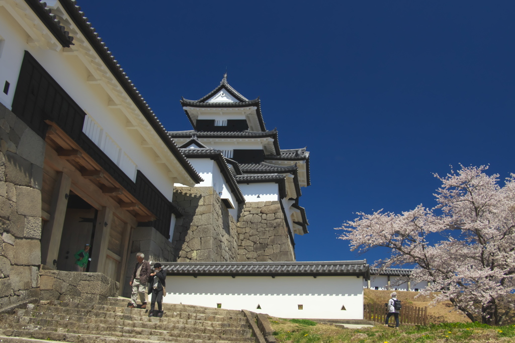 桜満開小峰城