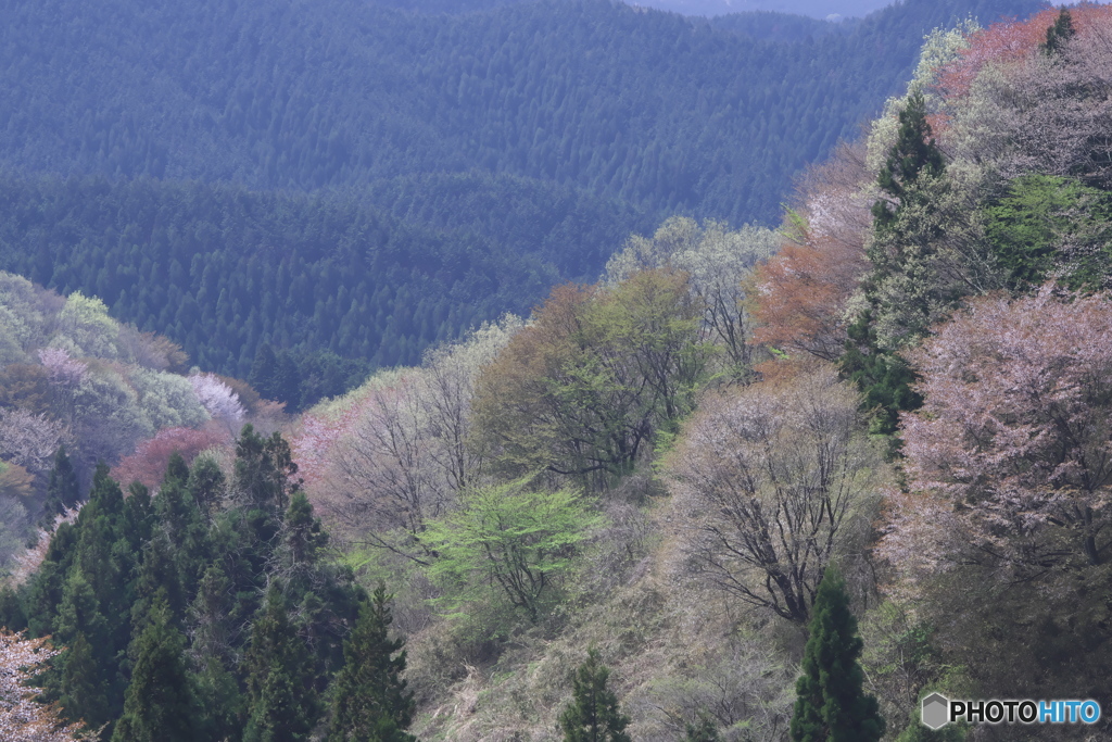 御亭山緑地公園