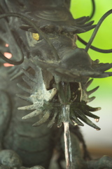 ドラゴン