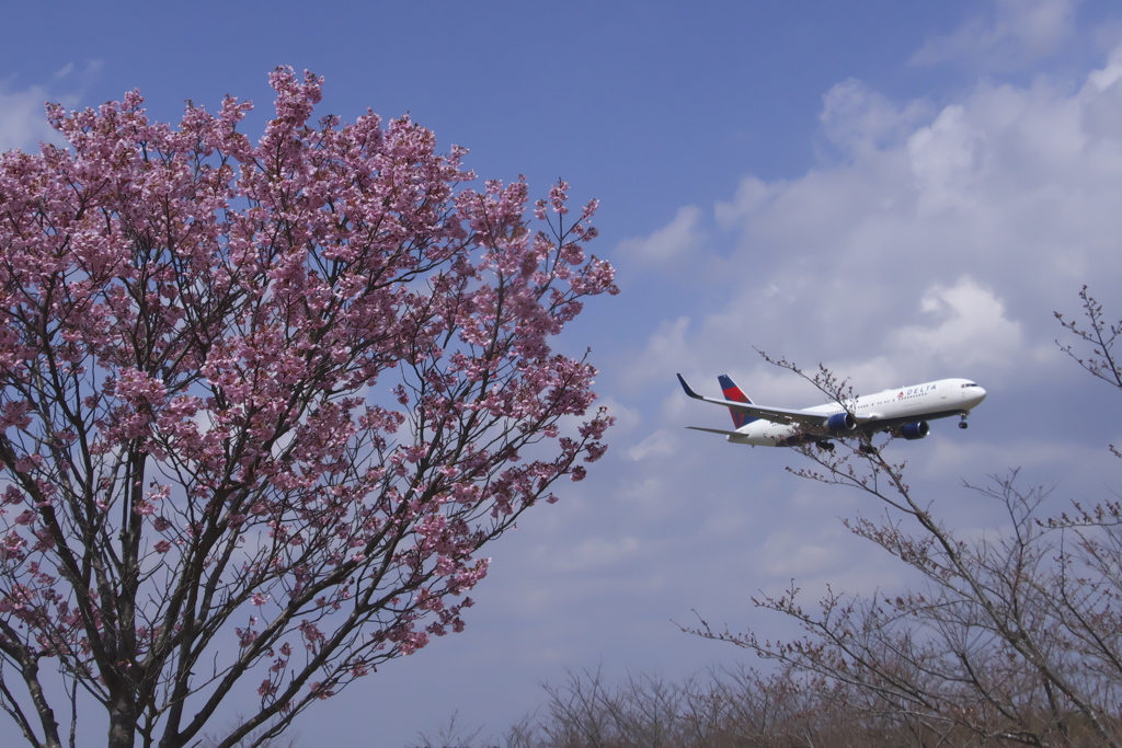 成田空港　A