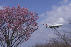 成田空港　A