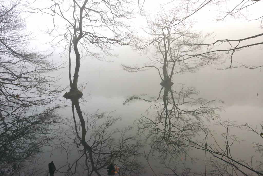 霧の公園