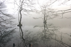 霧の公園