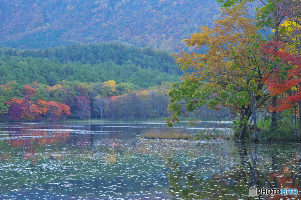 観音沼森林公園