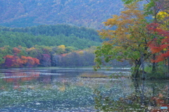 観音沼森林公園